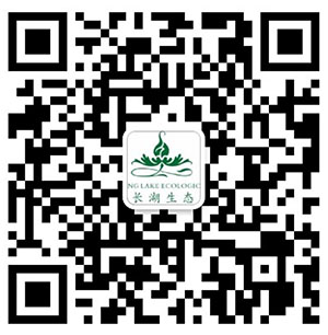 微信二维码