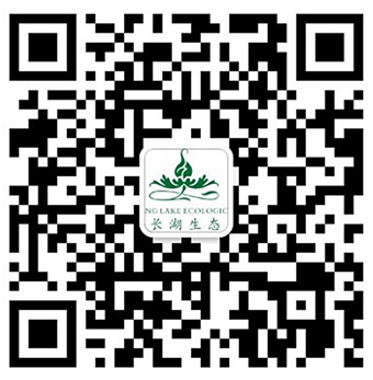 扫描添加微信