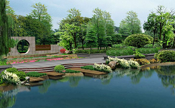 水生植物及其在城建园林造景中的应用