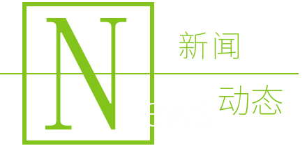 新闻动态